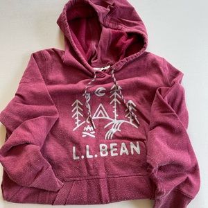 LL BEAN cozy camp sweatshirt